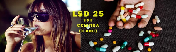 индика Балахна