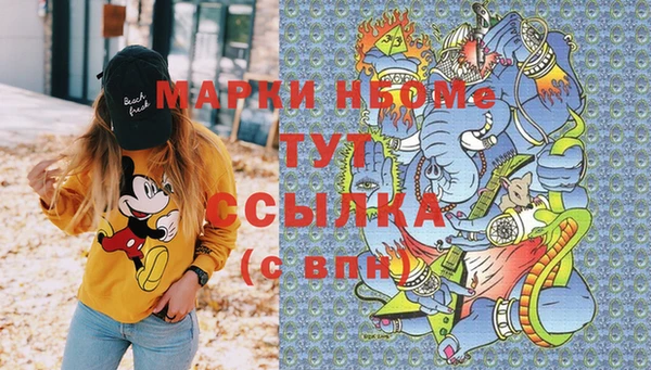 индика Балахна