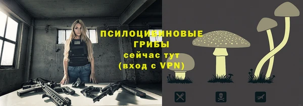 apvp Баксан
