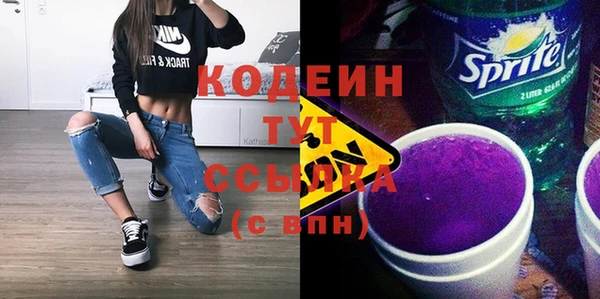 индика Балахна