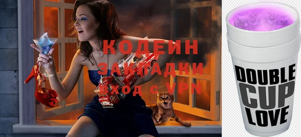 индика Балахна
